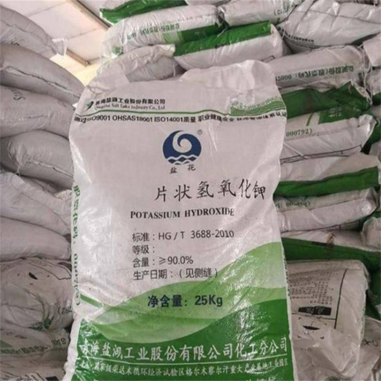 尻屄网站在线